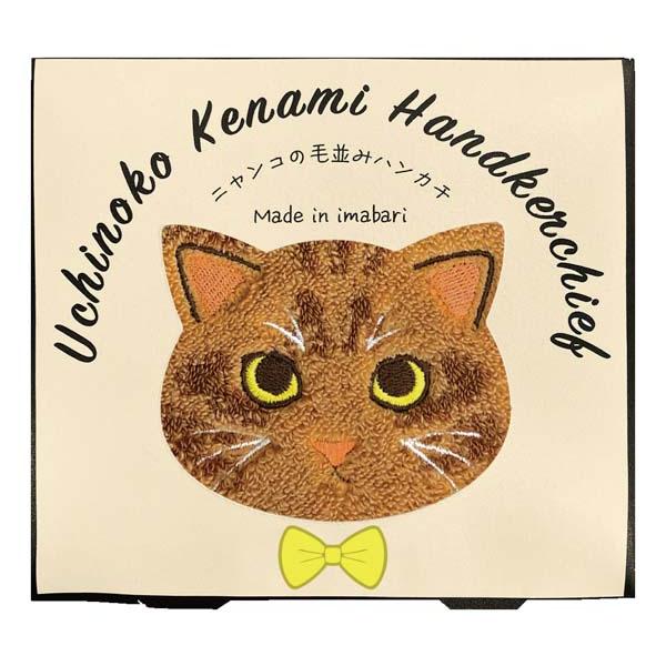 Uchinoko mate 毛並みハンカチ 茶トラ 〈UNJ-801〉 SG-r8a