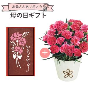 【新品未開封】マリアージュ・フレール 高級茶葉3種セット　紅茶の贈り物 Amazon.co.jp: マリアージュフレール マリアージュ (MARIAGE FRERES