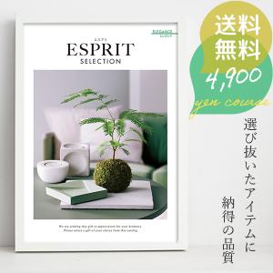 カタログギフト エスプリ 4900円コース エレ...の商品画像