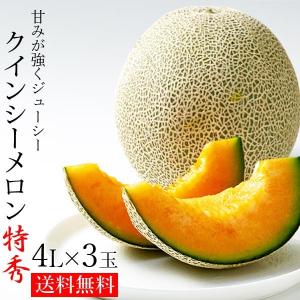 茨城県 JA 赤肉 メロン クインシー （特秀 4L 3玉） 光センサー 糖度16度以上 日本一のメロン産地 茨城県 鉾田 贈答用 メロンギフト 〈同梱不可〉