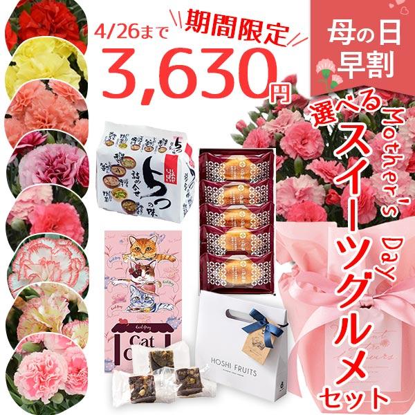 母の日 ギフト 2026 早割 花 カーネーション スイーツ グルメ セット1 選べる8色 5号 鉢...