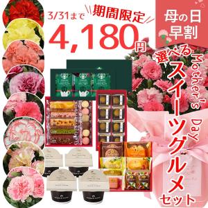 遅れてごめんね 母の日 プレゼント 花 カーネーション + 和菓子 選べる和菓子セット 5号鉢 2024 スイーツ 花鉢 ギフト 花とスイーツ 送料無料