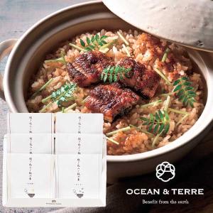 OCEAN＆TERRE オーシャンテール 炊き込みご飯の素セットJ のし ラッピング メッセージカード 手提げ袋 無料 母の日