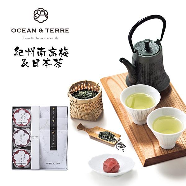 オーシャンテール Premium 紀州南高梅 ＆ 日本茶 セット E 〈A585〉 ティーバッグ 梅...