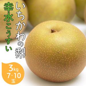 予約販売 いちかわの梨 梨 幸水 こうすい 3kg 7〜10玉 千葉県市川産 なし 旬 果物 果実 フルーツ グルメ ギフト プレゼント 贈答品 贈答用