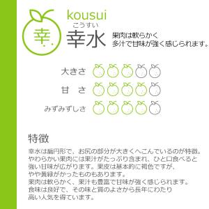 予約販売 いちかわの梨 梨 幸水 こうすい 3...の詳細画像1