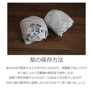予約販売 いちかわの梨 梨 幸水 こうすい 3...の詳細画像5