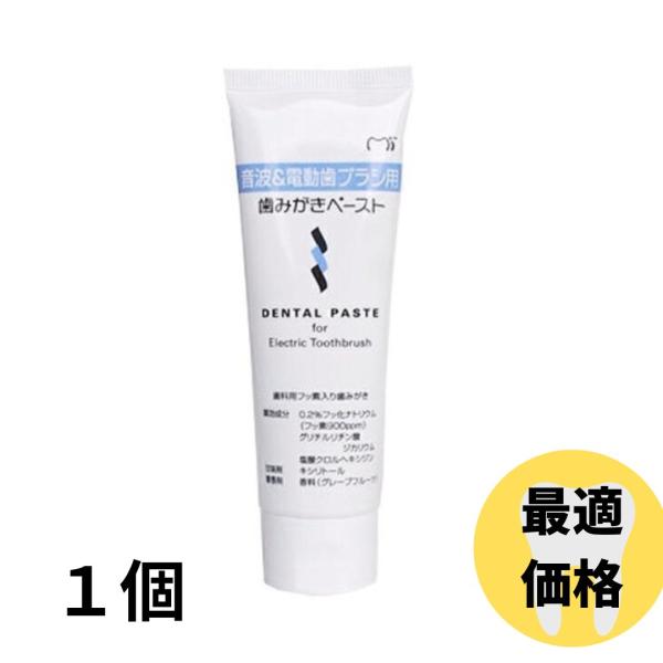 ジーシー(GC) 音波＆電動歯ブラシ用歯みがきペースト65ｇ 1個 歯磨き粉 ハミガキ 歯科専売品
