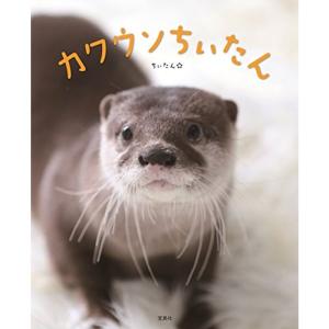 カワウソ 本 生活関連の本 の商品一覧 本 雑誌 コミック 通販 Yahoo ショッピング