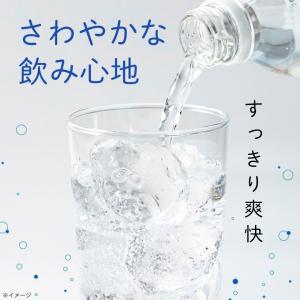 炭酸水 500ml 24本 ペットボトル LD...の詳細画像3