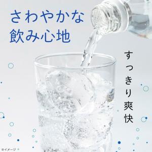 炭酸水 500ml 48本 ペットボトル 24...の詳細画像2