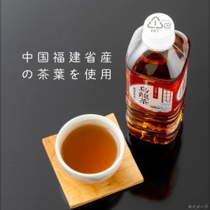ウーロン茶 烏龍茶 500ml 48本 ペット...の詳細画像5
