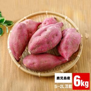 鹿児島産 ハロウィンスイート さつまいも 生芋 6kg 国産 料理向け 土付き 焼き芋