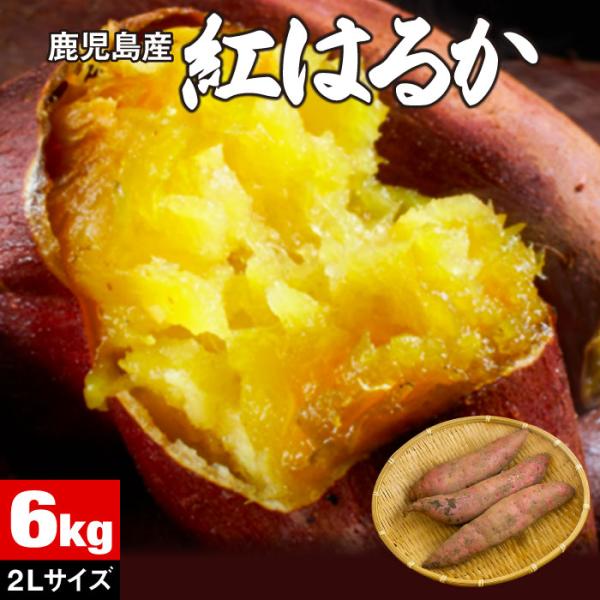 (ポイント2倍) さつまいも 紅はるか 鹿児島 生芋 6kg 2Lサイズ 土付き 産地直送 鹿児島県...