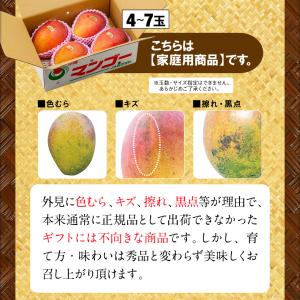 マンゴー 沖縄 家庭用 訳あり JAおきなわ ...の詳細画像4