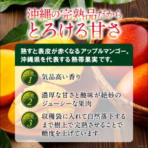 マンゴー 沖縄 家庭用 訳あり JAおきなわ ...の詳細画像3