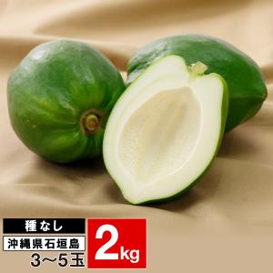 (ポイント2倍) ギフト 石垣珊瑚 青パパイヤ 種無し 野菜