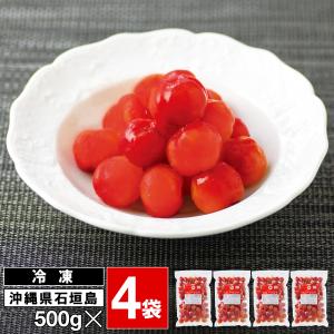 (P2倍 最短当日出荷) 国産 アセロラ 家庭用 訳あり 果実