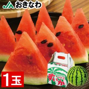 (ポイント2倍) スイカ JAおきなわ 沖縄産 今帰仁すいか 1玉 2.5kg 秀品 送料無料 すいか ギフト 内祝い 希少 フルーツ スイーツ なきじん 西瓜