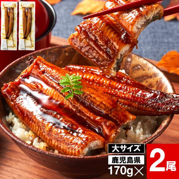 (ポイント2倍 最短当日出荷) 父の日 うなぎ 国産 鰻 蒲焼き ギフト プレゼント 170g 2尾...