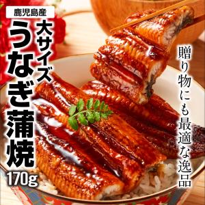(ポイント3倍) お中元 2026 うなぎ 国...の詳細画像1