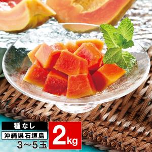 パパイヤ フルーツ 種なし 石垣珊瑚 2kg (3〜5玉) ギフト