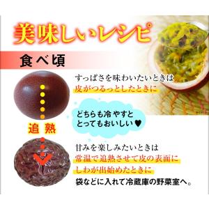 沖縄産 パッションフルーツ 秀品 900g 9...の詳細画像4