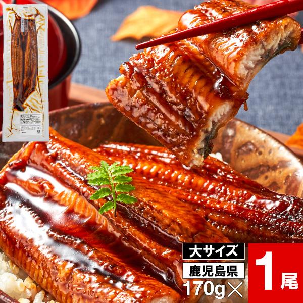 うなぎ 国産 ギフト 鰻 蒲焼き 170g 1尾 鹿児島 大隅産 誕生日 プレゼント お取り寄せ グ...