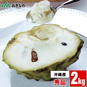 秀品 ギフト JAおきなわ 沖縄産 アテモヤ 6〜8玉 2kg 1箱 ギフト トロピカルフルーツ