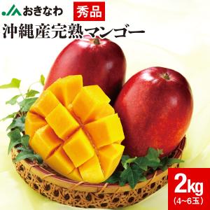 Naru出品　マンゴー2袋+オリジナル1袋 マンゴー 沖縄 秀品 JAおきなわ ギフト 完熟マンゴー 800g (1箱1玉400g
