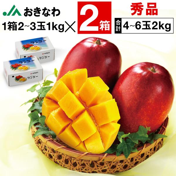 (ポイント2倍) マンゴー 沖縄 秀品 ギフト JAおきなわ 完熟マンゴー 2kg (1箱2〜3玉1...