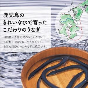 (ポイント3倍) お中元 2026 うなぎ 国...の詳細画像2