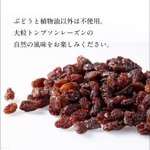 干しぶどう 大粒 レーズン ナガトク 1.85...の詳細画像2