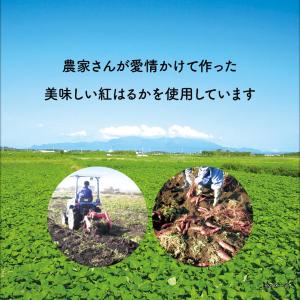(ポイント2倍) 干し芋 干しいも 濃蜜干し芋...の詳細画像2