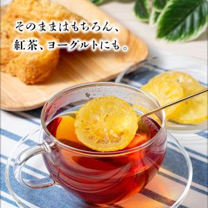 (ポイント2倍) ドライフルーツ レモン 国産...の詳細画像4