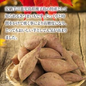 さつまいも 安納芋 種子島 産 生芋 3kg ...の詳細画像3