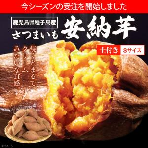 さつまいも 安納芋 種子島 産 生芋 6kg ...の詳細画像1