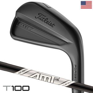 Titleist（タイトリスト） T100 アイアン 6本セット（#5-#9、P）メンズ
