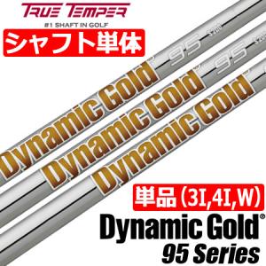 TRUE TEMPER（トゥルーテンパー） Dynamic Gold 120 TOUR ISSUE