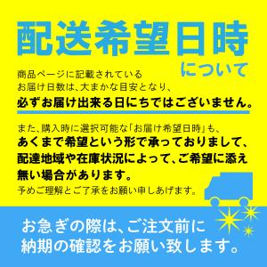 浴槽 ポリ浴槽 ポリエック ポリバス 幅:90...の詳細画像5