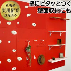 クライミングホールド ボルダリング 用 カラフルホールド ボルト付き