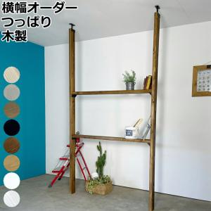 タカラスタンダード（Takara standard） 吊戸用昇降棚 幅60cm TDUR-601