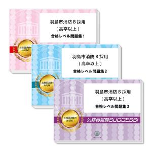 羽島市消防B採用(高卒以上)基礎能力試験合格セット(3冊) 公務員試験 問題集 過去問の傾向と対策 [2025年度版] 面接 社会人 送料無料｜jyuken-senmon