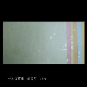 仮名料紙 古筆臨書用紙『桂本万葉集 清書用』16枚入り｜書道 書道用紙 仮名 古筆 臨書料紙 臨書料紙 万葉仮名