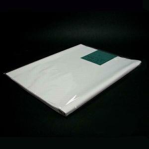 書道画仙紙『達筆』漢字用 半切 20枚入