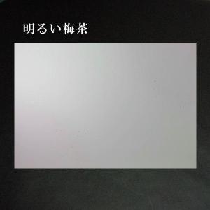全懐紙料紙 新鳥の子 具引き 上下隅ぼかし 金...の詳細画像3