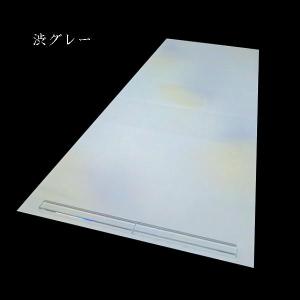 仮名用 加工画仙紙『虹』金銀砂子3色ぼかし 2...の詳細画像2