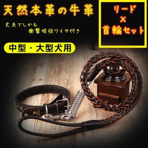 超大型犬 リードの商品一覧 通販 Yahoo ショッピング