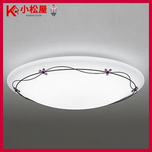 法人様限定】パナソニック NNF41886J LA1 LEDベッドライト 病院用