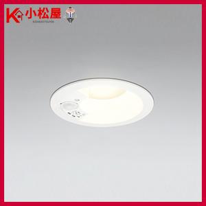 岩崎電気 岩崎 屋外用レフランプ 散光形 RF110V270WH 300W形 E39口金